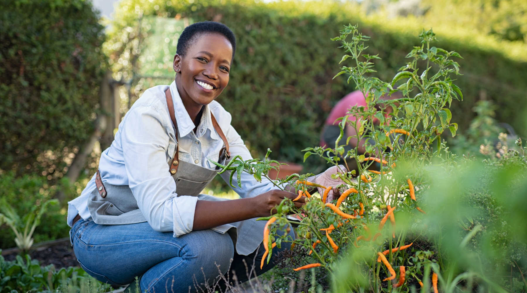 10 Easy Steps To Create A Permaculture Garden